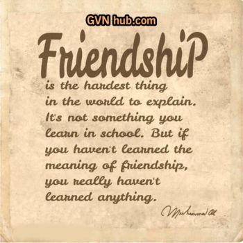 Best Friendship Quotes - GVN Hub